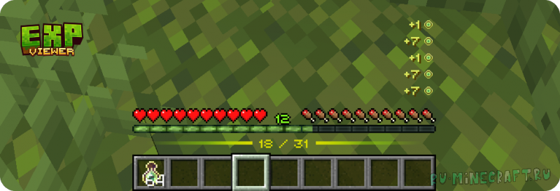 Exp Viewer! - ������ ����� [1.20.6] [1.20.4] [1.20.1]