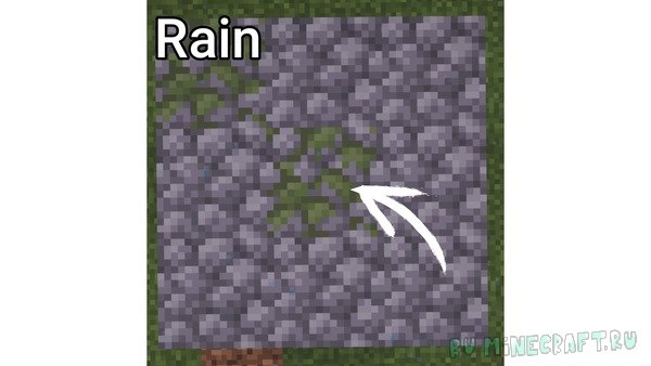 WeatheringBlocks - ����� �������� �� �������� [1.21.8] [1.21.4] [1.21.1] [1.20.1]