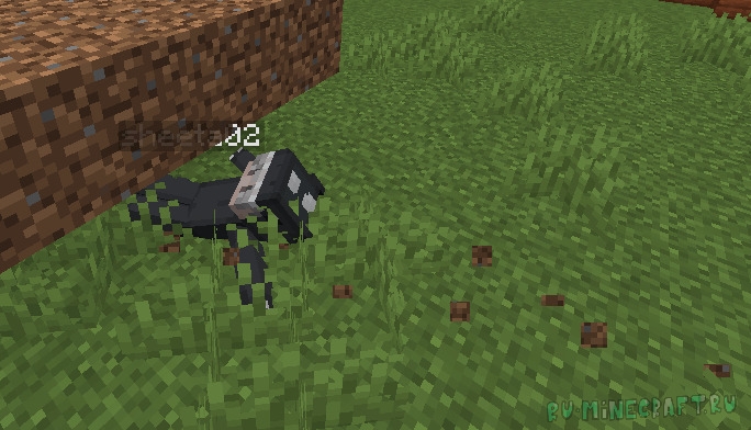 Slide! - ������ [1.20.1]