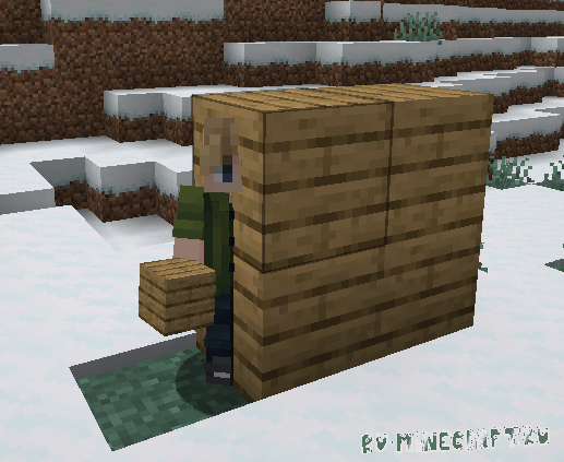 Fake Blocks - No collision - �������� ����� [1.21.1]