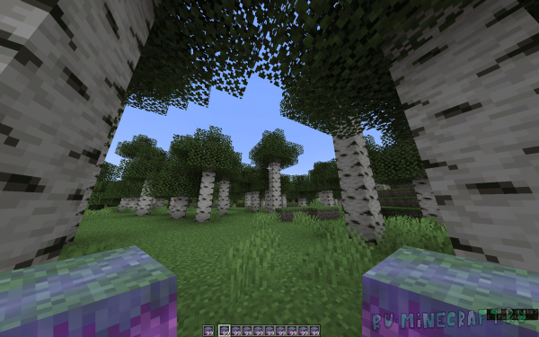 Max stack size 99 / ������������ ���� 99 [1.21.11] [1.21]