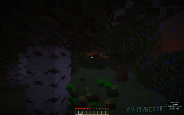 More food / ������ ��� [1.21.11] [1.21.5]