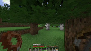 Shoot Anything - ������� ��� ������ �� ���� [1.20.1]