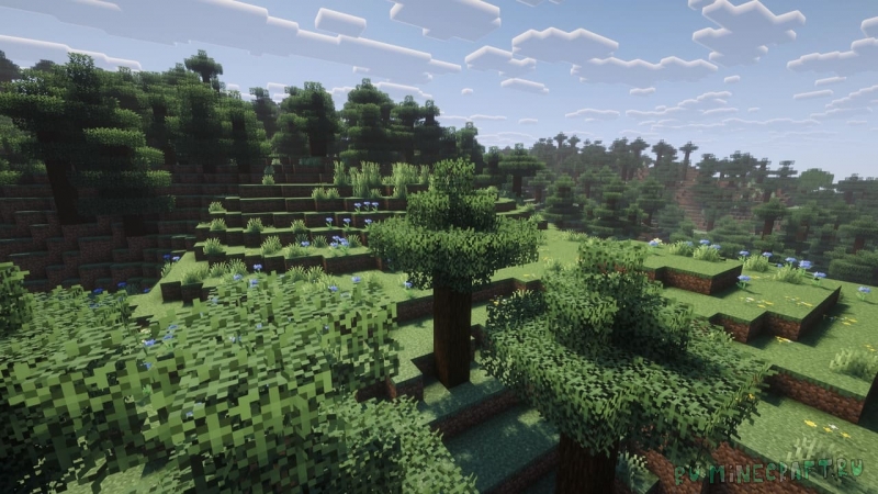 Leaves Experience+ - �������� ������ [26.1.2] [1.21.11] [1.20.6] [1.19.4] [1.16.5] [16x]