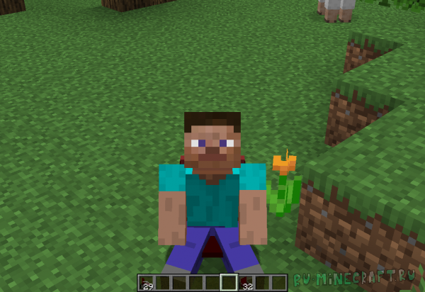 Wheelchair! - ���������� �������! [1.18.2]