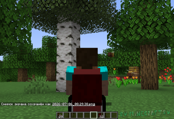 Wheelchair! - ���������� �������! [1.18.2]